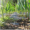 Malla de cobertura de suelo agrícola resistente a los productos químicos